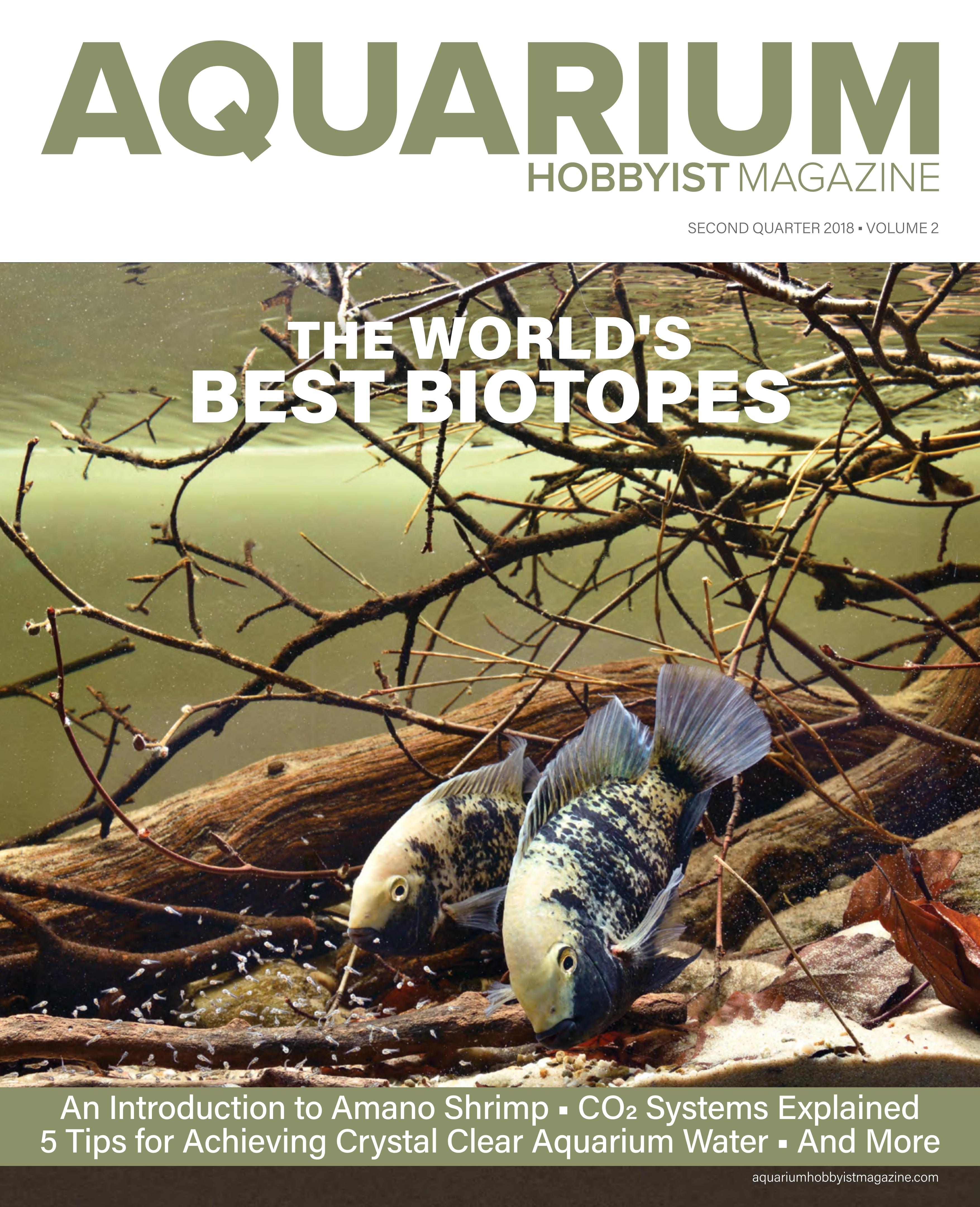 Home | Aquarium Hobbyist Magazine